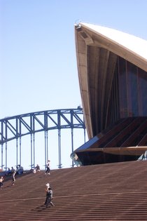 Sydney Opera House Sails