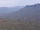 A photograph of the Gum Forests in the Blue Mountains