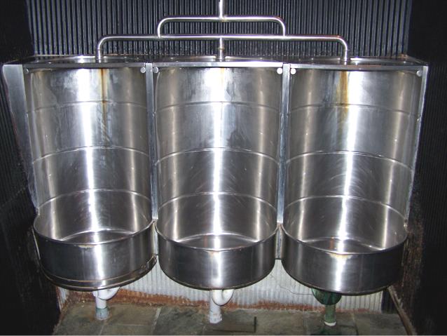 Gents, dunny, loo, throne, lavatory, outhouse, thunderbox - Ettamogah Pub