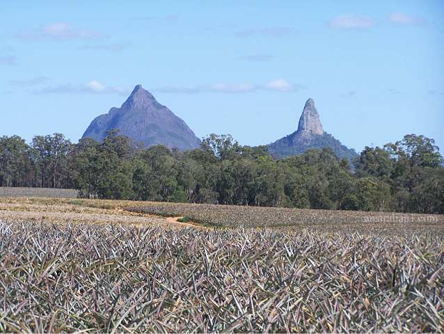 Glass House Mountains National Park