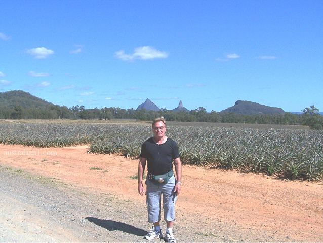 Glass House Mountains National Park