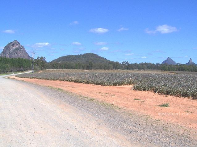 Glass House Mountains National Park